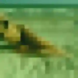 Photo de Adele à Tulle (34 ans) - rencontre coquine gratuit