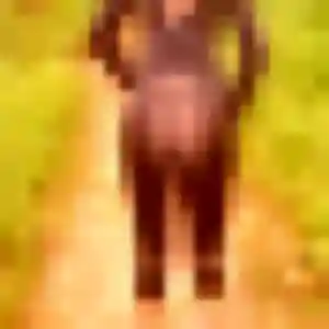 Claire, 32 ans, disponible à Vallons-de-l'Erdre pour une rencontre coquine
