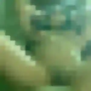 Fleur, femme de 41 ans propose rencontre coquine à Vernaison