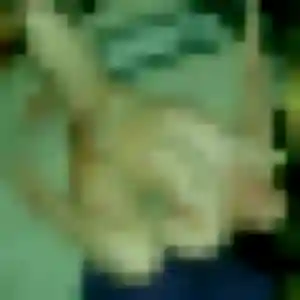 Photo sexy de Coralie, 43 ans à Vétraz-Monthoux - rencontre sans lendemain