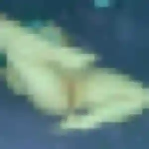 Albertine (42 ans) à Villemandeur attend un rencontre coquine rapidement
