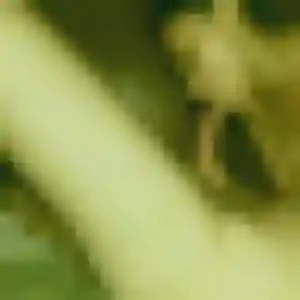 Laure, 32 ans, veut un rencontre coquine à Villers-le-Lac