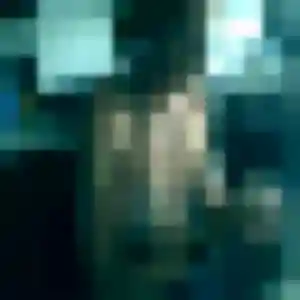 rencontre coquine à Vineuil : photo de Eliane, 39 ans - accès libre