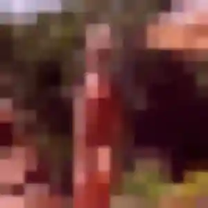 Photo privée de Capucine, 28 ans à Voisins-le-Bretonneux - rencontre coquine